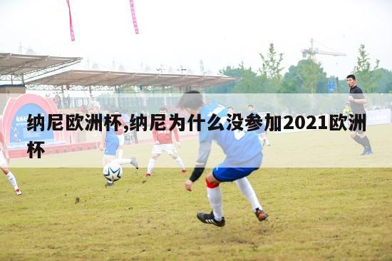 纳尼欧洲杯,纳尼为什么没参加2021欧洲杯