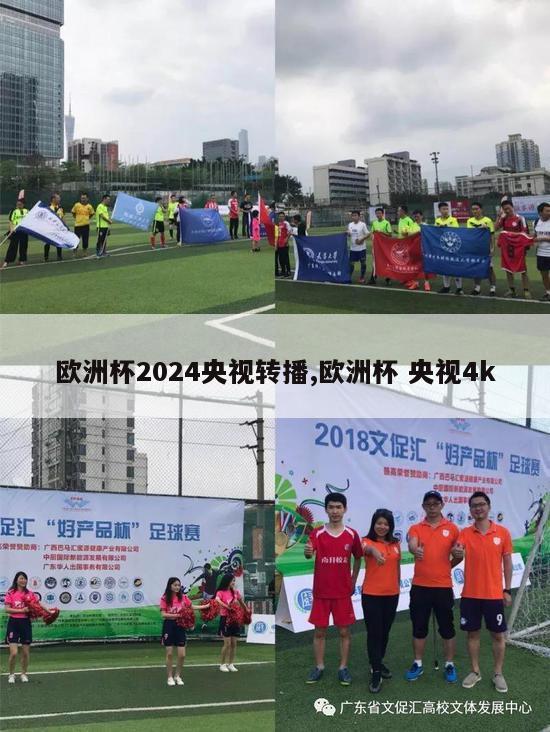 欧洲杯2024央视转播,欧洲杯 央视4k